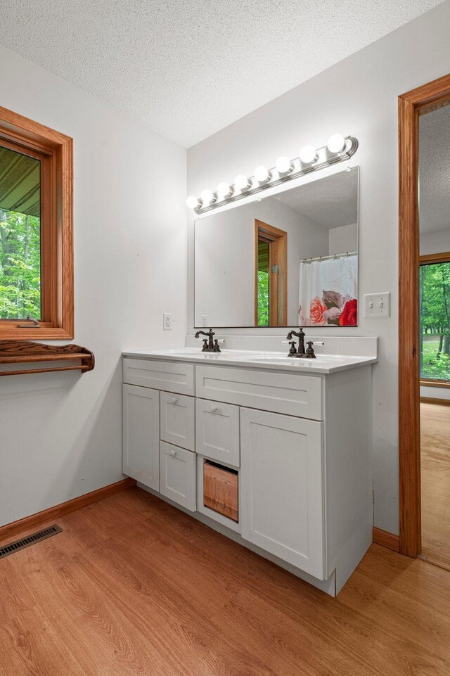 568 26th Ave, Cumberland, WI 54829 - bathroom featuring wood finished floors, double vanity, a textured ceiling, and baseboards