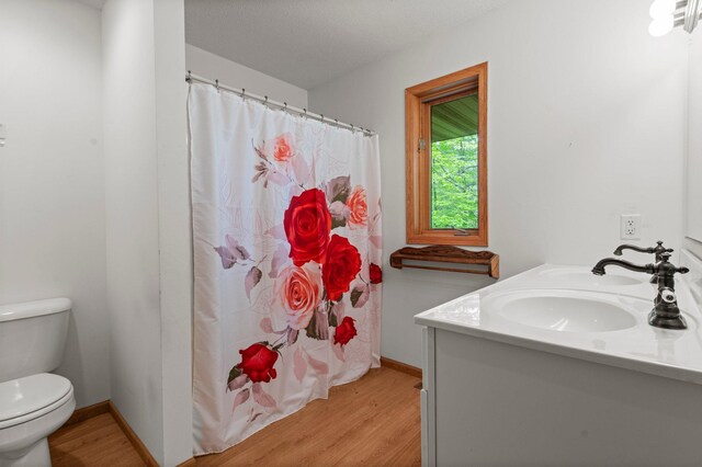 568 26th Ave, Cumberland, WI 54829 - full bathroom featuring wood finished floors, toilet, vanity, and a shower with shower curtain