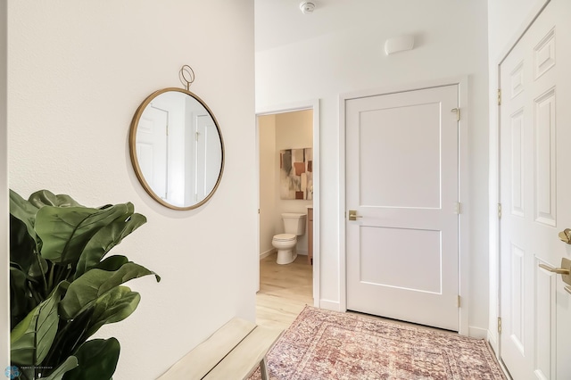 2523 36th Ave S, Moorhead, MN 56560 - corridor featuring light wood finished floors and baseboards
