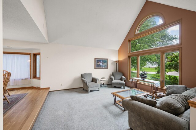 240 Cottonwood Dr, Vadnais Heights, MN 55127 - photo 9