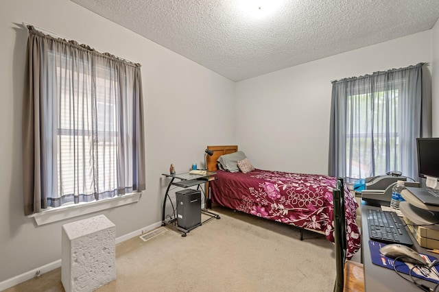 658 Plum St, Saint Paul, MN 55106 - bedroom featuring carpet, a textured ceiling, and baseboards