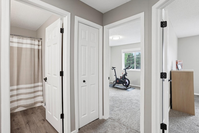 3394 Spring Glen Cir NW, Prior Lake, MN 55372 - corridor featuring carpet flooring, baseboards, and a textured ceiling
