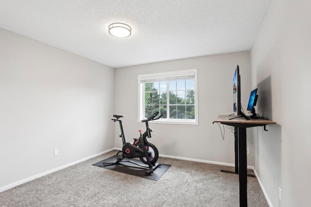 3394 Spring Glen Cir NW, Prior Lake, MN 55372 - exercise area featuring a textured ceiling, carpet flooring, and baseboards