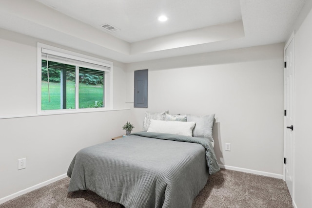 3394 Spring Glen Cir NW, Prior Lake, MN 55372 - carpeted bedroom with electric panel, baseboards, recessed lighting, and a raised ceiling