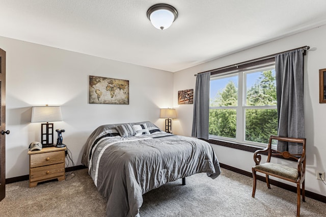 10798 Quiner Ave NW, Southside Twp, MN 55382 - carpeted bedroom with baseboards
