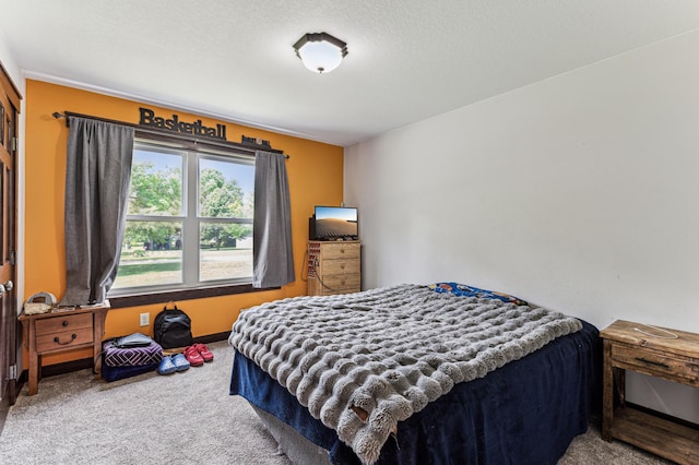 10798 Quiner Ave NW, Southside Twp, MN 55382 - bedroom with carpet floors