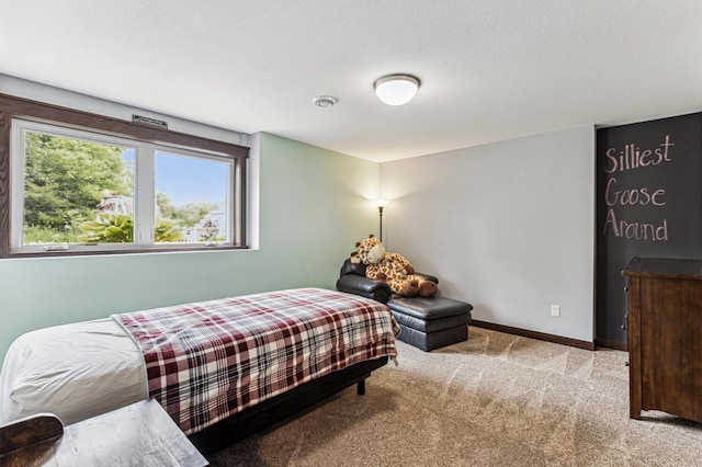 10798 Quiner Ave NW, Southside Twp, MN 55382 - carpeted bedroom featuring baseboards