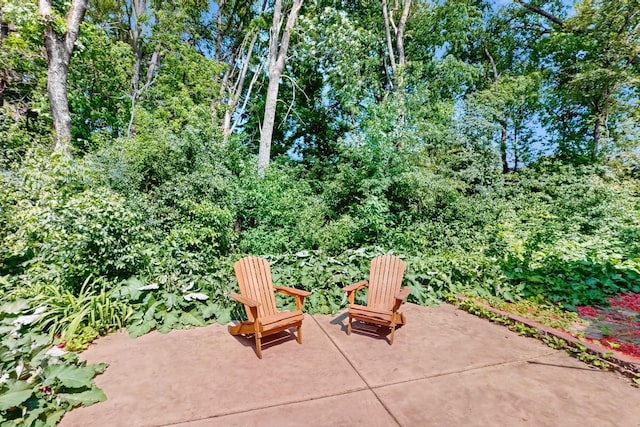7401 Landau Dr Unit 7401, Bloomington, MN 55438 - photo 24