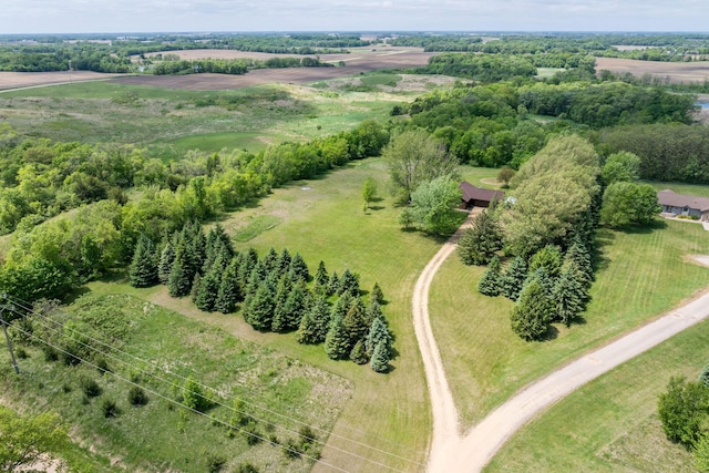 24058 610th Ave, Madison Lake, MN 56063 - overview of rural landscape