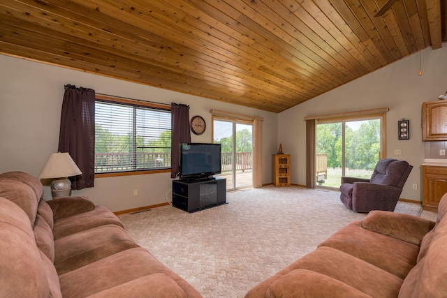 24058 610th Ave, Madison Lake, MN 56063 - living room featuring vaulted ceiling, light colored carpet, baseboards, and wooden ceiling