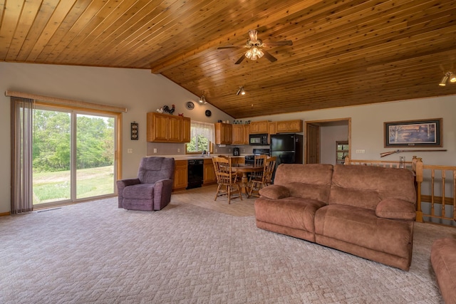 24058 610th Ave, Madison Lake, MN 56063 - living room with light carpet, a ceiling fan, and wooden ceiling