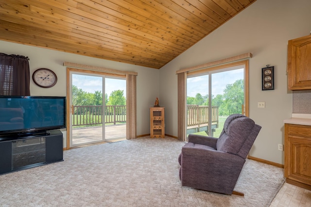24058 610th Ave, Madison Lake, MN 56063 - living room with plenty of natural light, light colored carpet, baseboards, wooden ceiling, and high vaulted ceiling