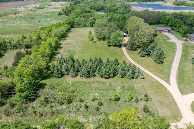24058 610th Ave, Madison Lake, MN 56063 - bird's eye view