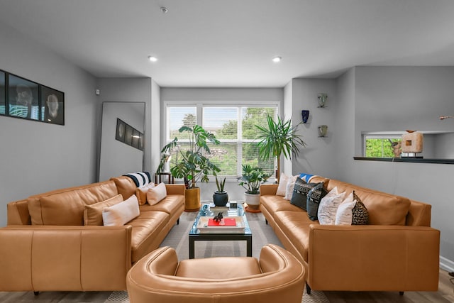 4014 River Valley Way, Eagan, MN 55122 - living room featuring wood finished floors, recessed lighting, and baseboards