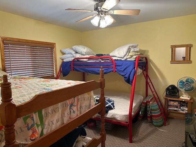 2377 Finn Bay Rd, Babbitt, MN 55706 - bedroom with carpet floors and ceiling fan