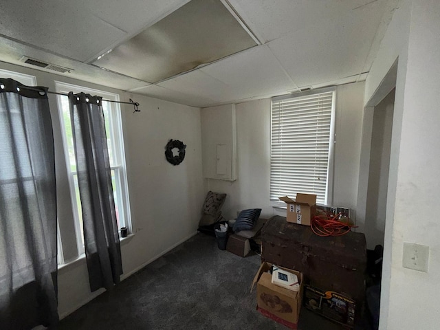 2812 6th Ave, Anoka, MN 55303 - misc room featuring carpet flooring