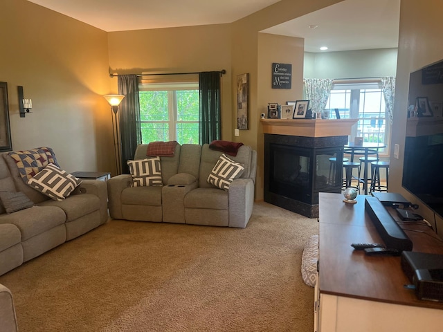 1808 4th St NE, Willmar, MN 56201 - living area featuring carpet, healthy amount of natural light, and a multi sided fireplace