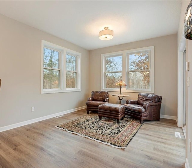 16524 Piper Ln, Brainerd, MN 56401 - living area with light wood finished floors and baseboards