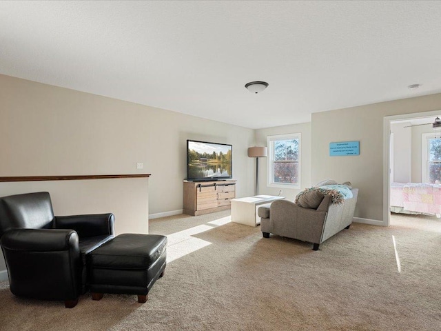 16524 Piper Ln, Brainerd, MN 56401 - living room featuring carpet floors and baseboards