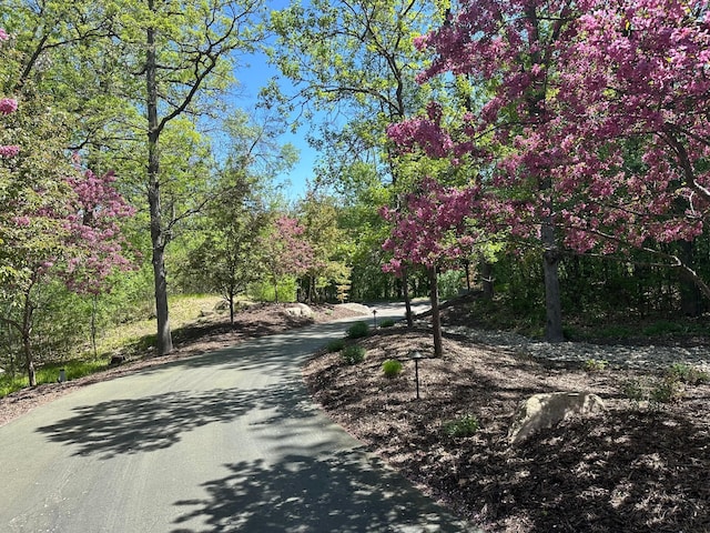 2442 Meeting St, Minnetonka, MN 55391 - view of asphalt road