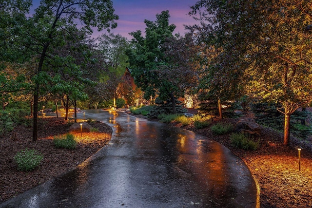 2442 Meeting St, Minnetonka, MN 55391 - view of road