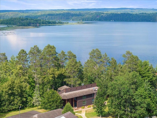 27620 Island View Dr, Park Rapids, MN 56470 - drone / aerial view of a forest and a nearby body of water