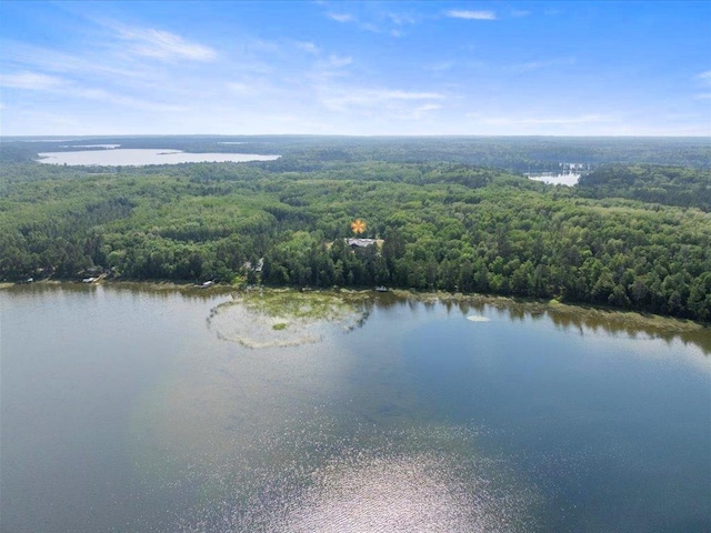 27620 Island View Dr, Park Rapids, MN 56470 - drone / aerial view of a forest and a nearby body of water