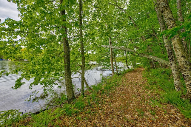 N872 County Highway Md, Sarona, WI 54870