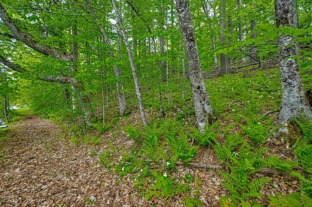 N872 County Highway Md, Sarona, WI 54870