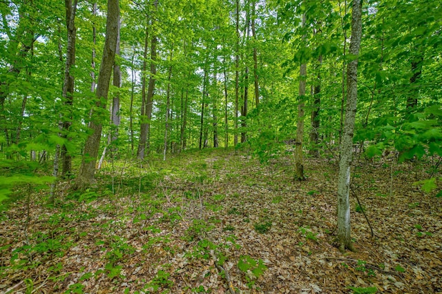 N872 County Highway Md, Sarona, WI 54870