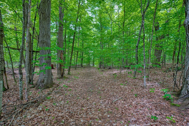 N872 County Highway Md, Sarona, WI 54870