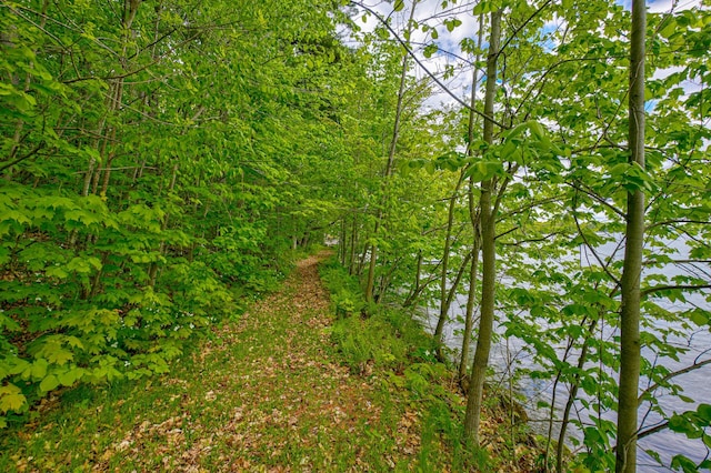 N872 County Highway Md, Sarona, WI 54870