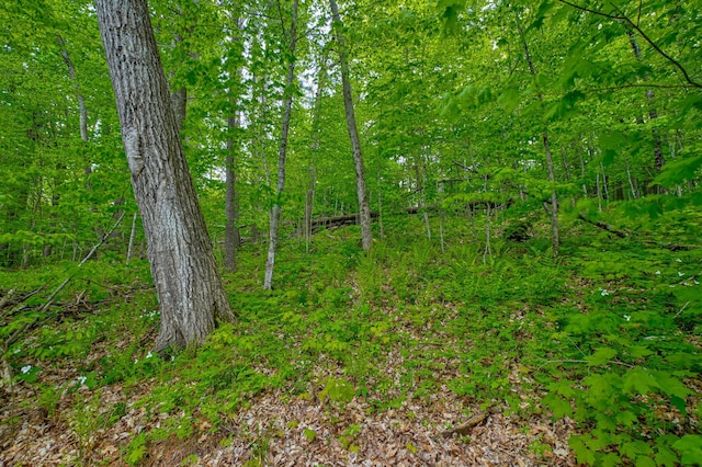 N872 County Highway Md, Sarona, WI 54870