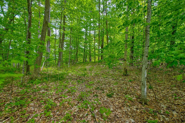 N872 County Highway Md, Sarona, WI 54870