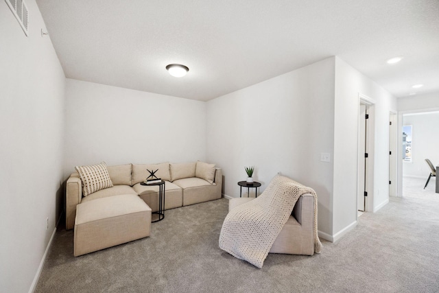 6570 Jody Ave S, Cottage Grove, MN 55016 - living room with carpet and baseboards