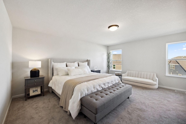 6570 Jody Ave S, Cottage Grove, MN 55016 - carpeted bedroom with baseboards and a textured ceiling