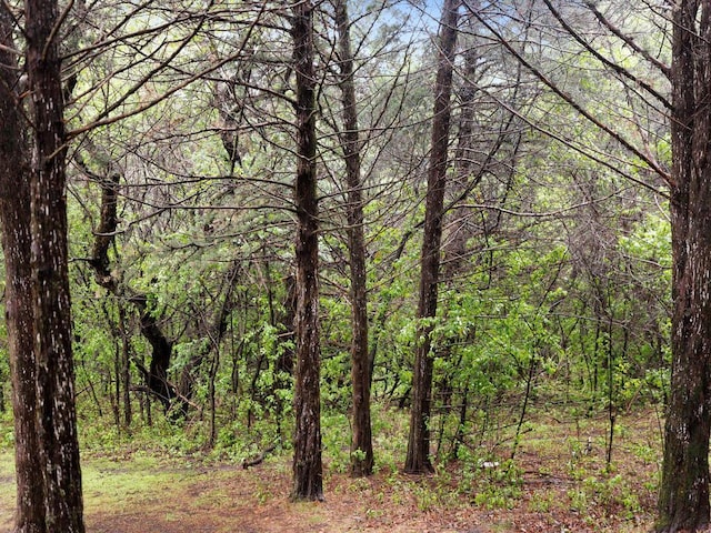 601 Kingsway Dr, Le Sueur, MN 56058 - view of woods