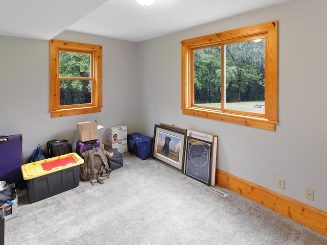 601 Kingsway Dr, Le Sueur, MN 56058 - view of carpeted empty room