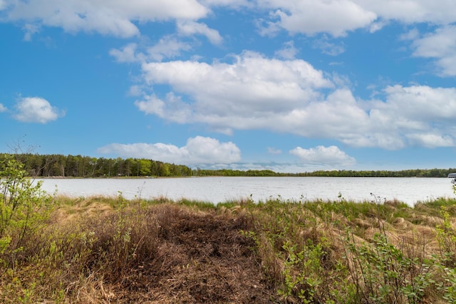 TBD Sorenson Lake Road, Lake Edward Twp, MN 56465