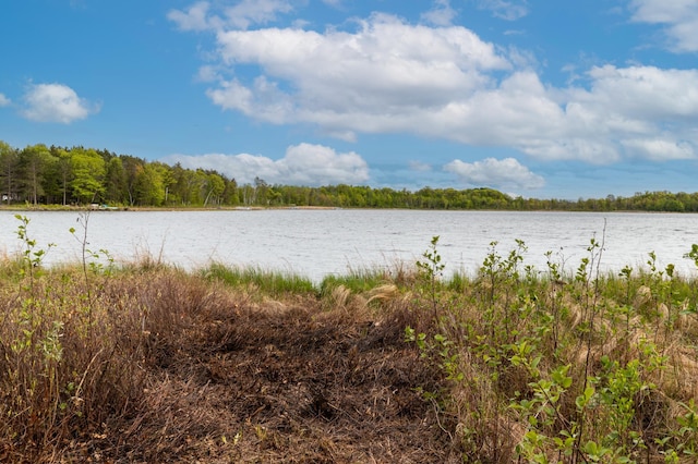 TBD Sorenson Lake Road, Lake Edward Twp, MN 56465