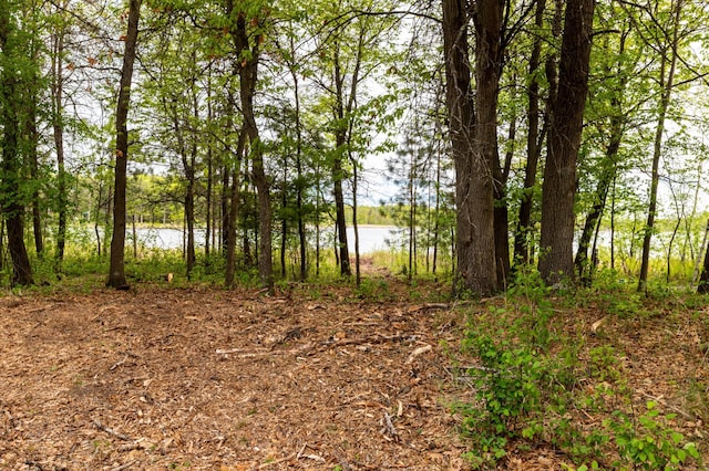 TBD Sorenson Lake Road, Lake Edward Twp, MN 56465