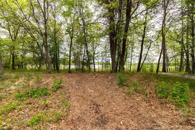 TBD Sorenson Lake Road, Lake Edward Twp, MN 56465