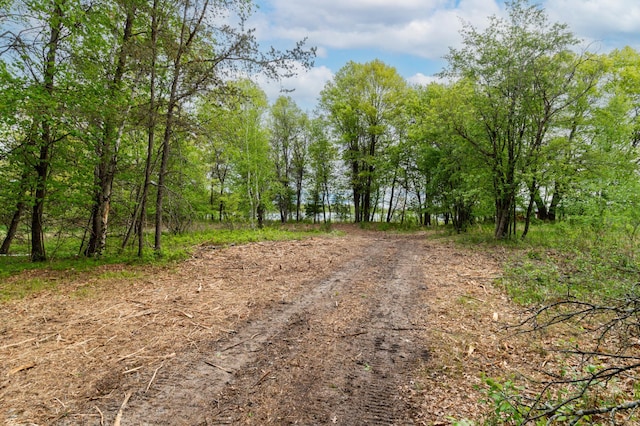 TBD Sorenson Lake Road, Lake Edward Twp, MN 56465