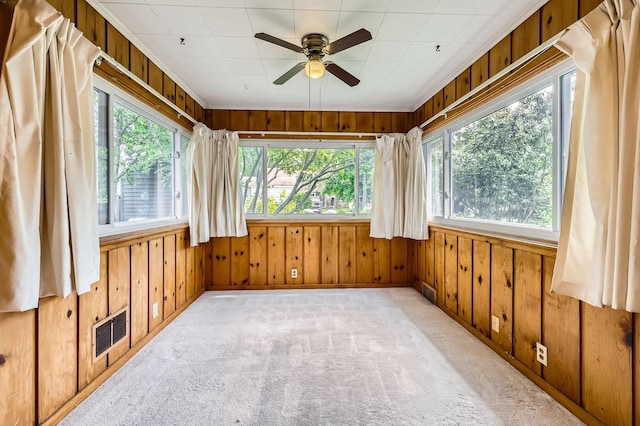 7029 Augsburg Ave S, Richfield, MN 55423 - unfurnished sunroom featuring wooden walls, carpet flooring, and baseboards