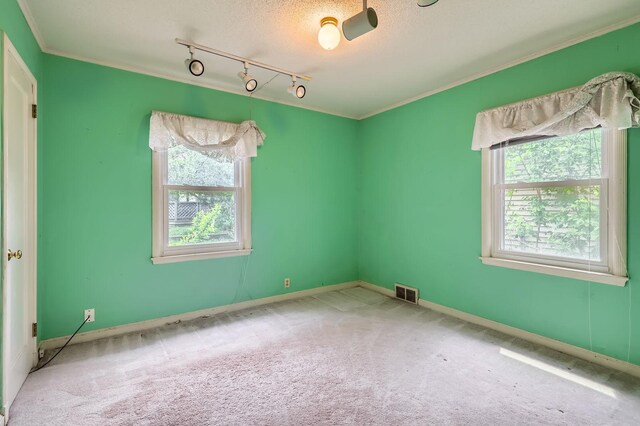 7029 Augsburg Ave S, Richfield, MN 55423 - carpeted empty room with rail lighting, healthy amount of natural light, crown molding, baseboards, and a textured ceiling