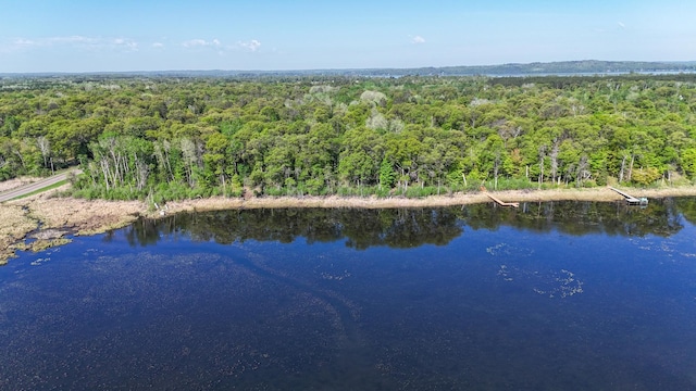 19080 Love Lake Rd, Brainerd, MN 56401