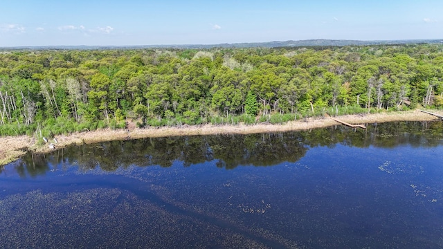 19080 Love Lake Rd, Brainerd, MN 56401