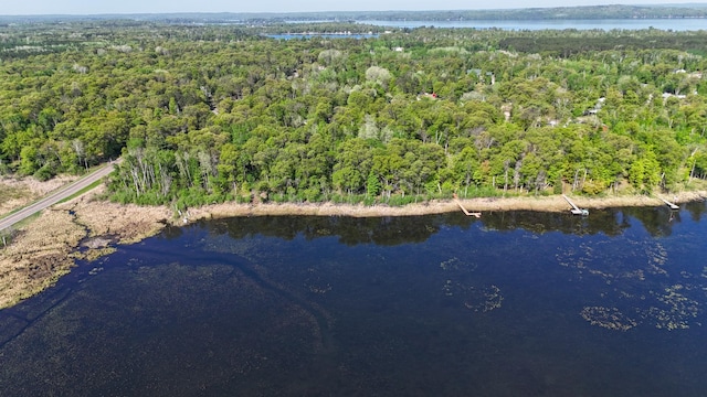19080 Love Lake Rd, Brainerd, MN 56401