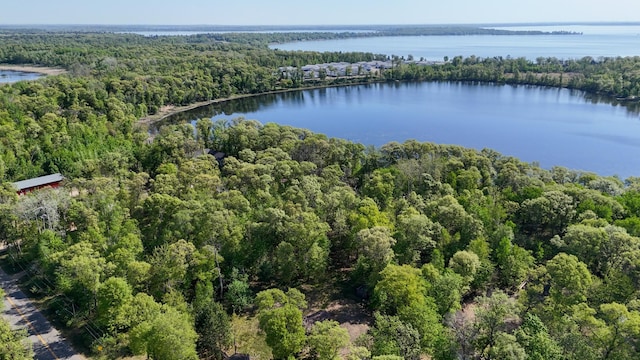 19080 Love Lake Rd, Brainerd, MN 56401