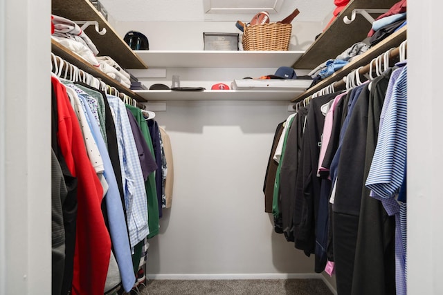 4119 Sylvia Ln S, Shoreview, MN 55126 - spacious closet featuring carpet